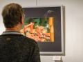 Vernissage 25. Februar 2023