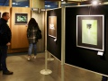 Vernissage 25. Februar 2023