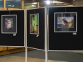 Fotoclub Creativ – 2026-02-21 Vernissage im Rathaus