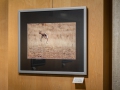 Fotoclub Creativ – 2026-02-21 Vernissage im Rathaus