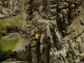 manfred_linnenbaum_01