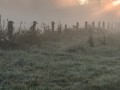 Manfred-Linnenbaum_Irgendwo-ist-immer-Licht