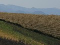 Tigges-Barbara_Baskenland-Frankreich