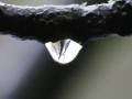 Tropfen