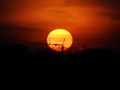 Sonnenuntergang