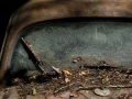 Autofriedhof