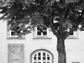 SW Schloss Gifhorn
