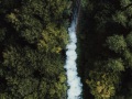 Natur und Technik Philipp Kamp