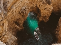 Algarve