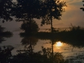 raimond_08