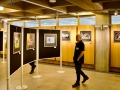 Vernissage 24. September 2023 | Fotoausstellung »Bewegung«